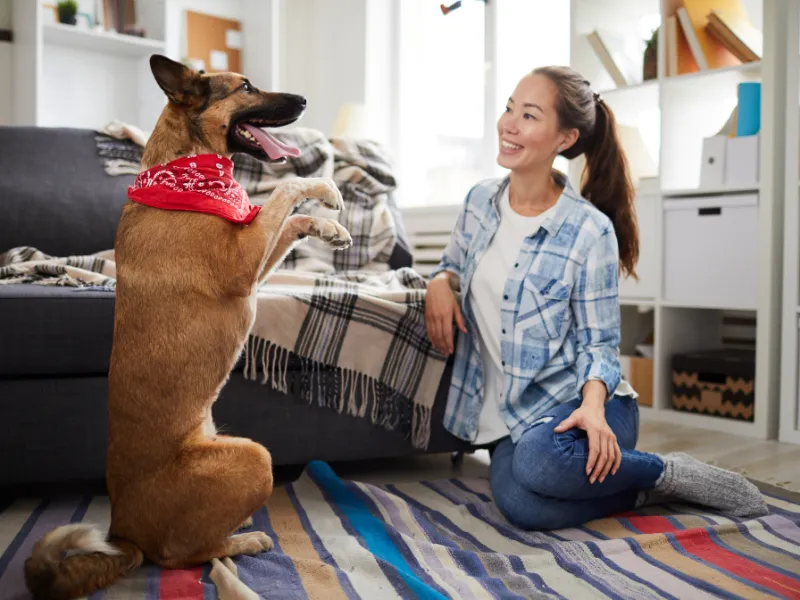Young girl playing with the family dog in the living room