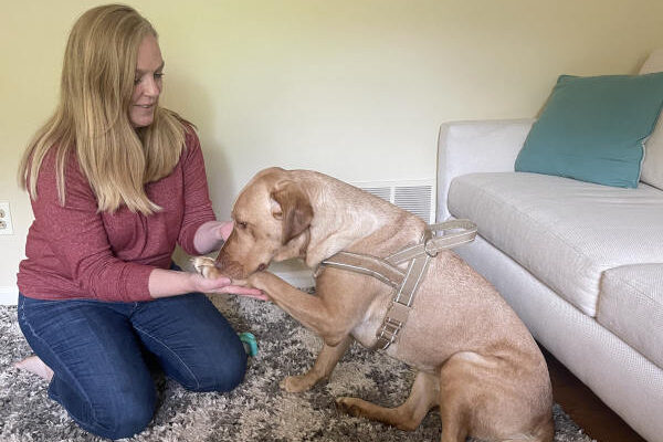 A blonde woman in a red shirt kneels on a gray rug, gently holding the paw of a light brown dog wearing a harness. The dog is looking at her hand, appearing to perform a 'give paw' command. A white couch with a teal pillow is in the background.